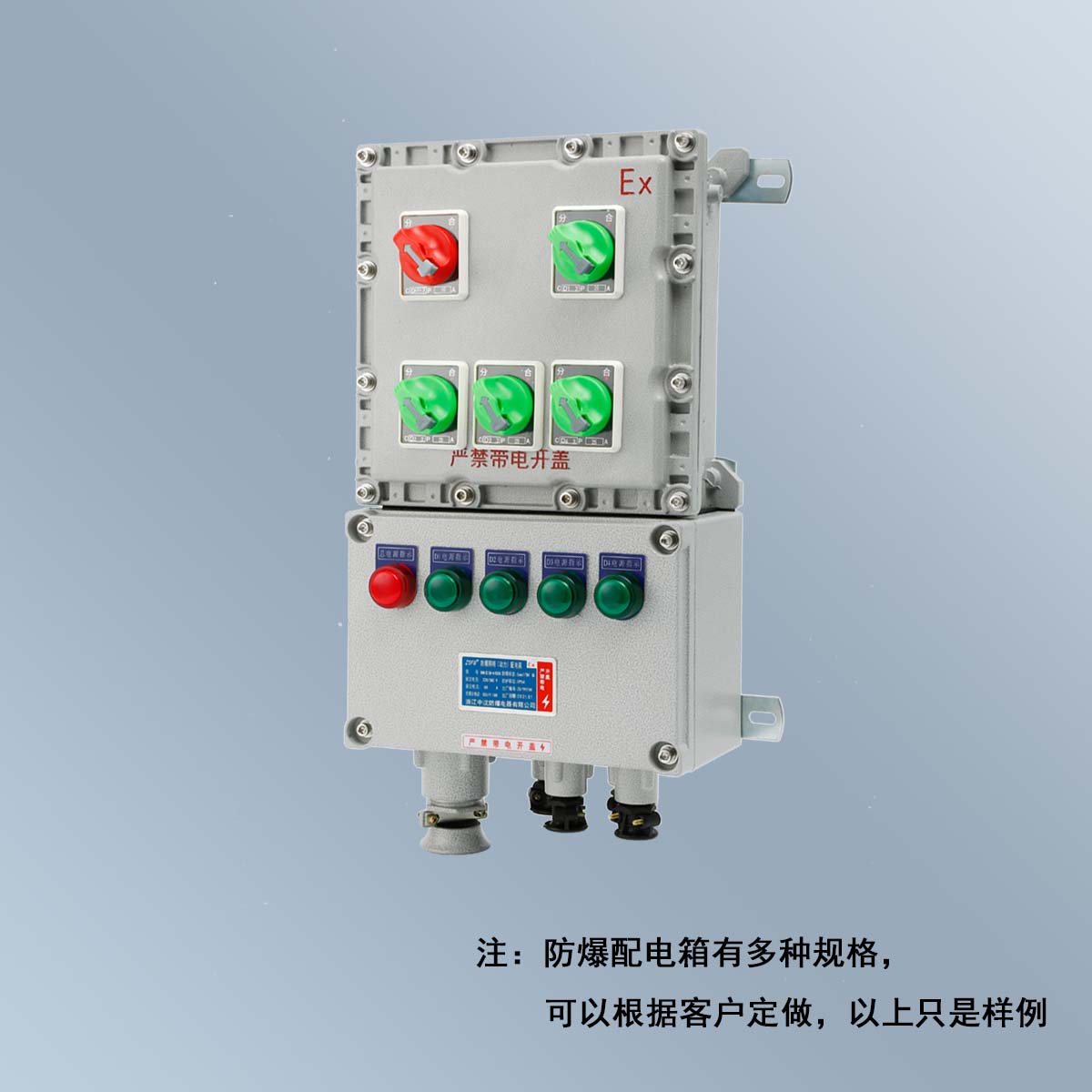 BXM(D)58 系列防爆照明(動(dòng)力)配電箱 (ⅡB、ⅡC、DIP)